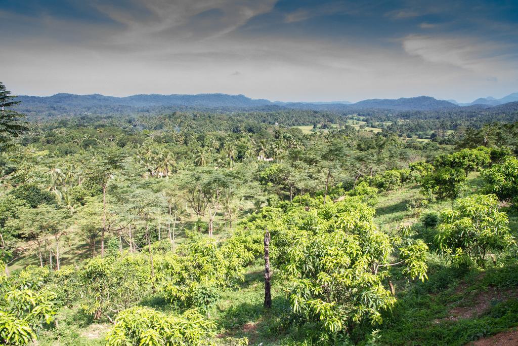 Jim'S Farm Villas Madawala المظهر الخارجي الصورة